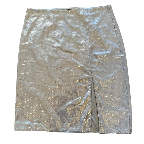 NWT Cider Gray Sequin Knee-Length Skirt Size 3X - Picture 2 of 5